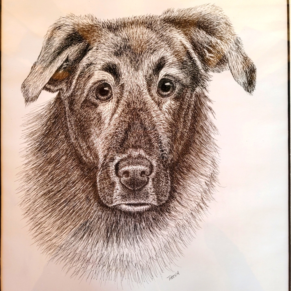 Original Framed Dog Art Black Lab Hound Mix Ink Drawing Signed by Artist Thomas